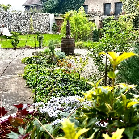 Ophelia Dans Domaine Viticole - Maison Zeyssolff Gertwiller